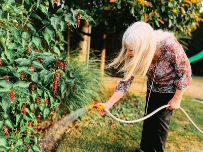 De tuin is kurkdroog, maar er komt regen aan: zo benut je dat optimaal