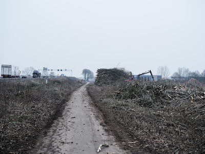 Kaalslag langs de A12 en A15: hierom zijn al die bomen weg