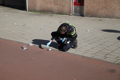 Ruim tien muizen in plastic zakjes achtergelaten in Den Haag: ‘Dit is dierenmishandeling en dus strafbaar’