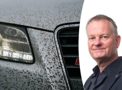Zo krijg je die dode insecten van je auto