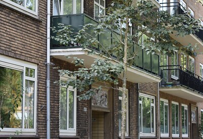 Zoeken maar! Hier in Blijdorp vind je 34 bijzondere gevels