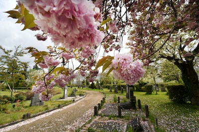 Image related to the article