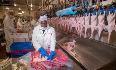 Tense two-week wait for Tomassen Duck-To: Judge holds fate of duck slaughterhouse in their hands