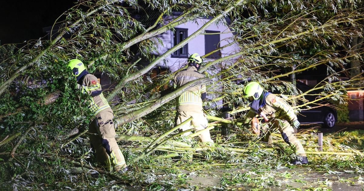 Herfstweer zet regio Amersfoort op scherp: windstoten tot 75 kilometer ...