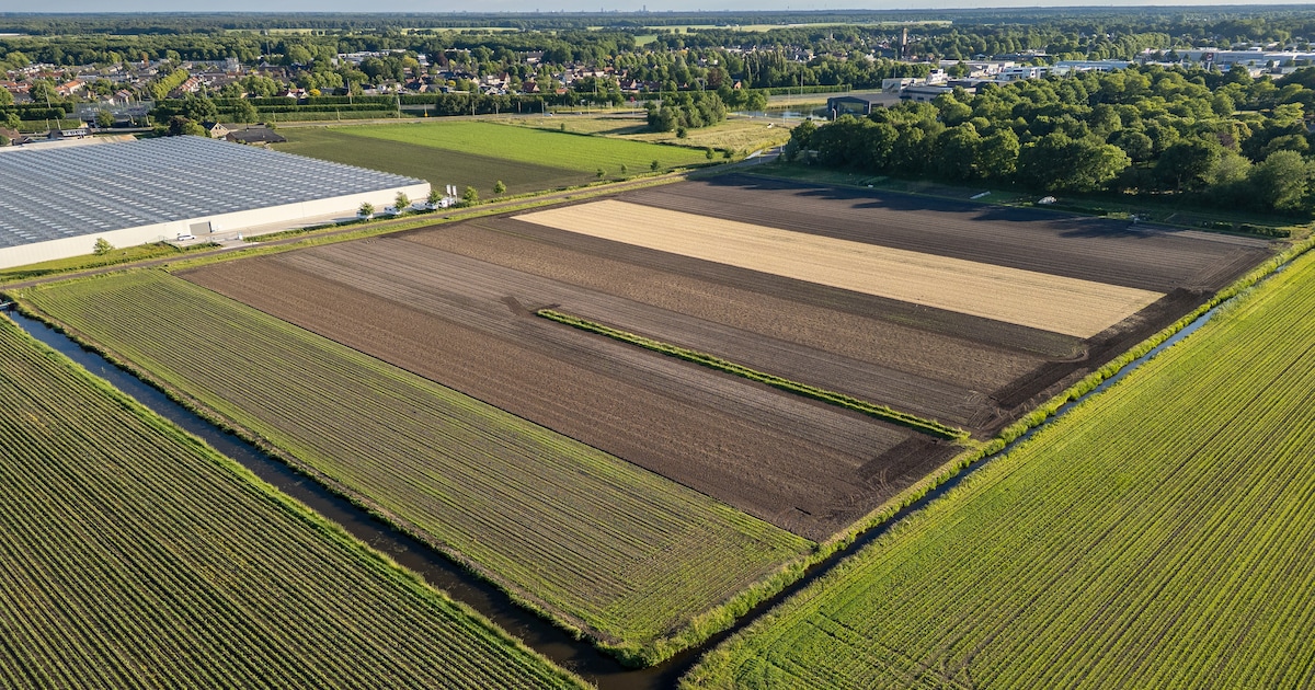 Heusden wil eigen inwoners voorrang geven bij nieuwbouwwoningen