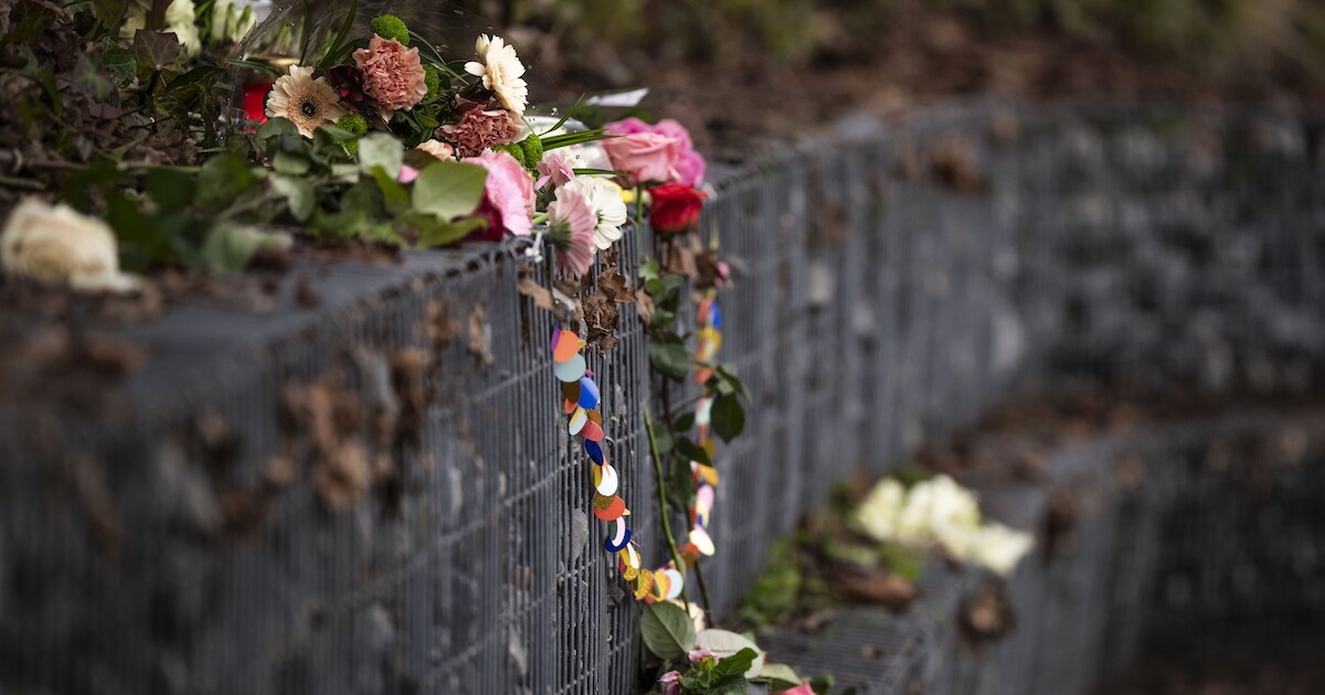 Verdachte die mogelijk vrouw (76) doodstak in Den Dolder blijft langer vast