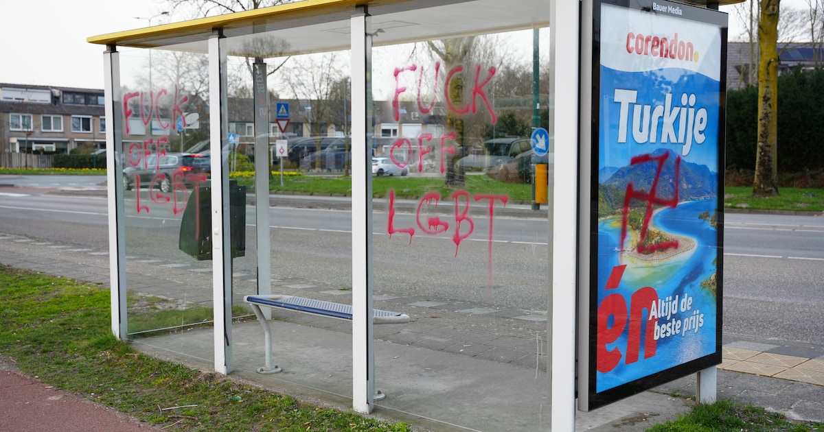 Man (41) aangehouden voor kalken van hakenkruizen en kwetsende teksten, maar politie zoekt niet naar