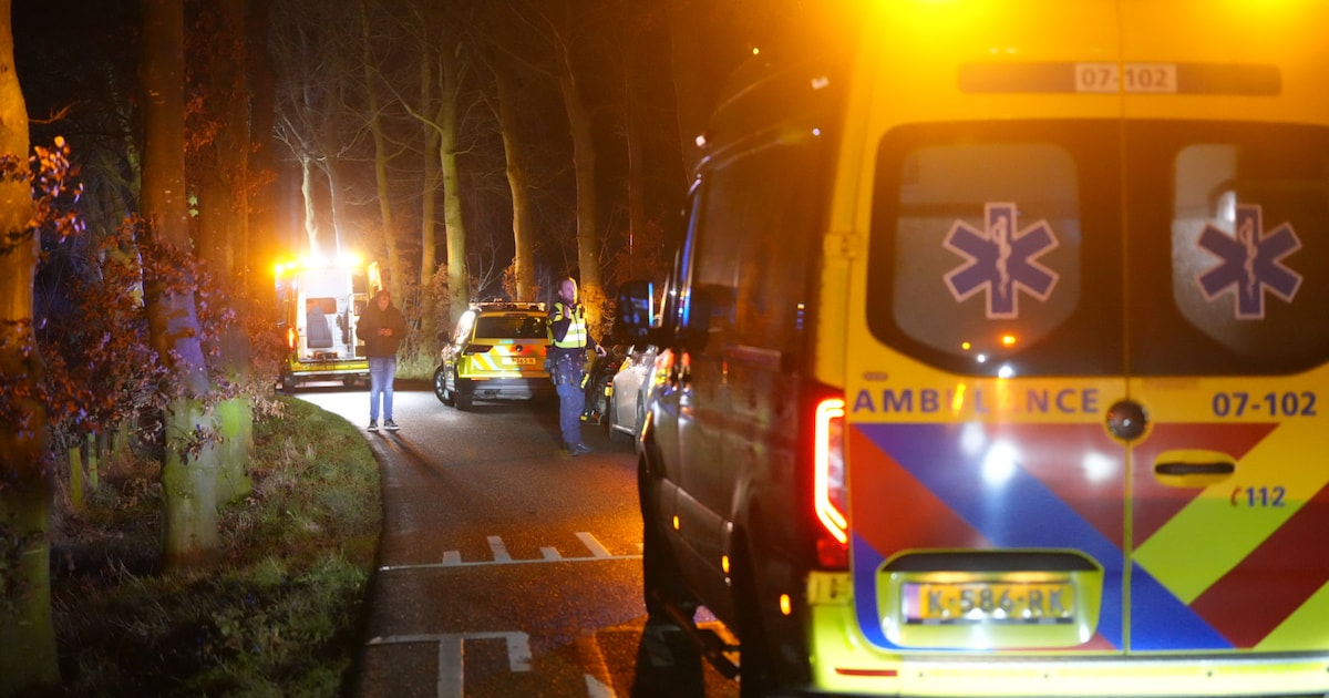 Auto botst tegen boom in Angerlo: één inzittende overleden | Zevenaar