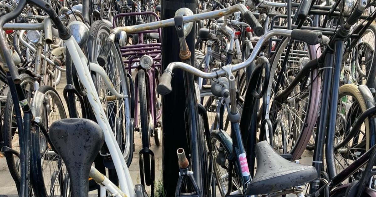 170 fietswrakken op station Horst-Sevenum opgeruimd, eigenaars hebben nog twee weken om op te halen
