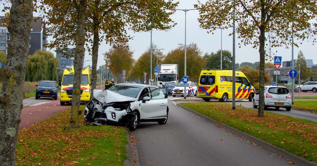 Automobilist ramt verkeersbord en crasht tegen boom langs Waddenweg in Hoofddorp