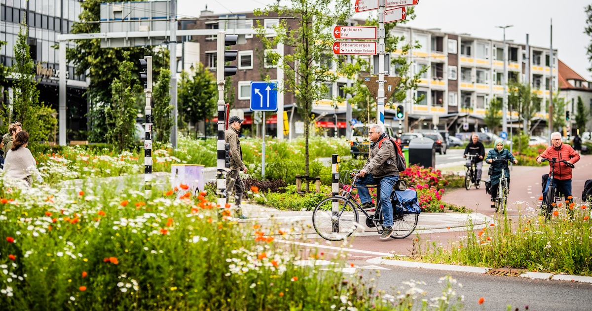Rapport: lokaal klimaatbeleid schiet nog tekort, Haarlem nummer 1, Arnhem op 3