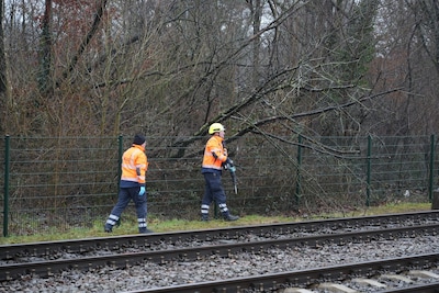 Image related to the article