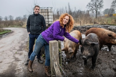 Goed Gevulde Boerderij in Halle maakt kans op Deltaplan Veehouderij Award