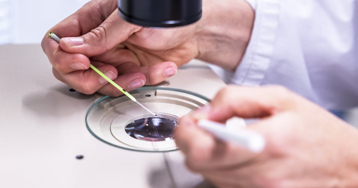 Microscopiedag in Leek toont kleine natuurwereld