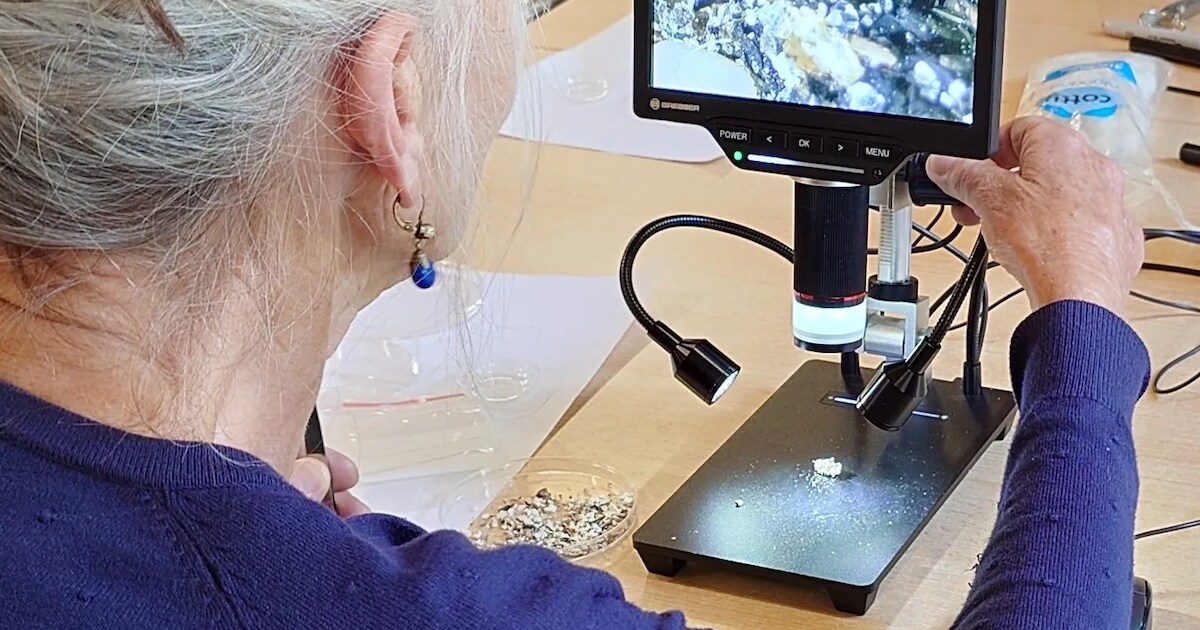 Labmiddag in Vledder met schelpenkenner | De Wolden