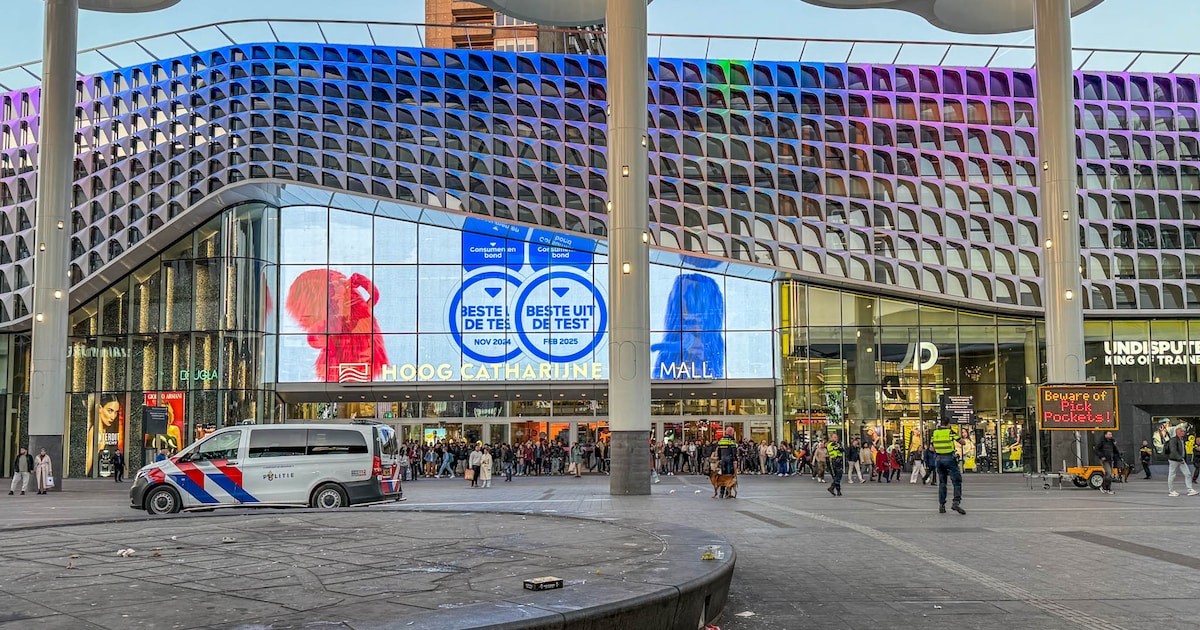Utrechtse agent die trap gaf aan vrouw onder Bollendak wordt ‘beoordeeld en getoetst’