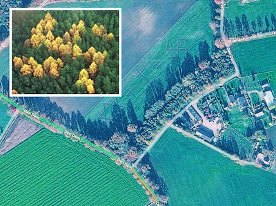 Image related to the article