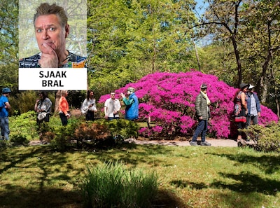 De Japanse tuin bijna open: ‘Selfies met een boom, zover zijn we al afgedwaald’