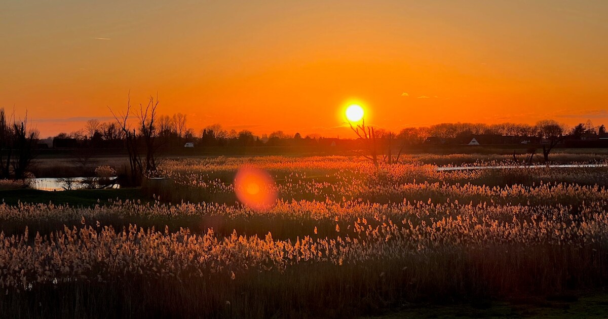 Zomeravondwandelingen op Het Gelders Eiland
