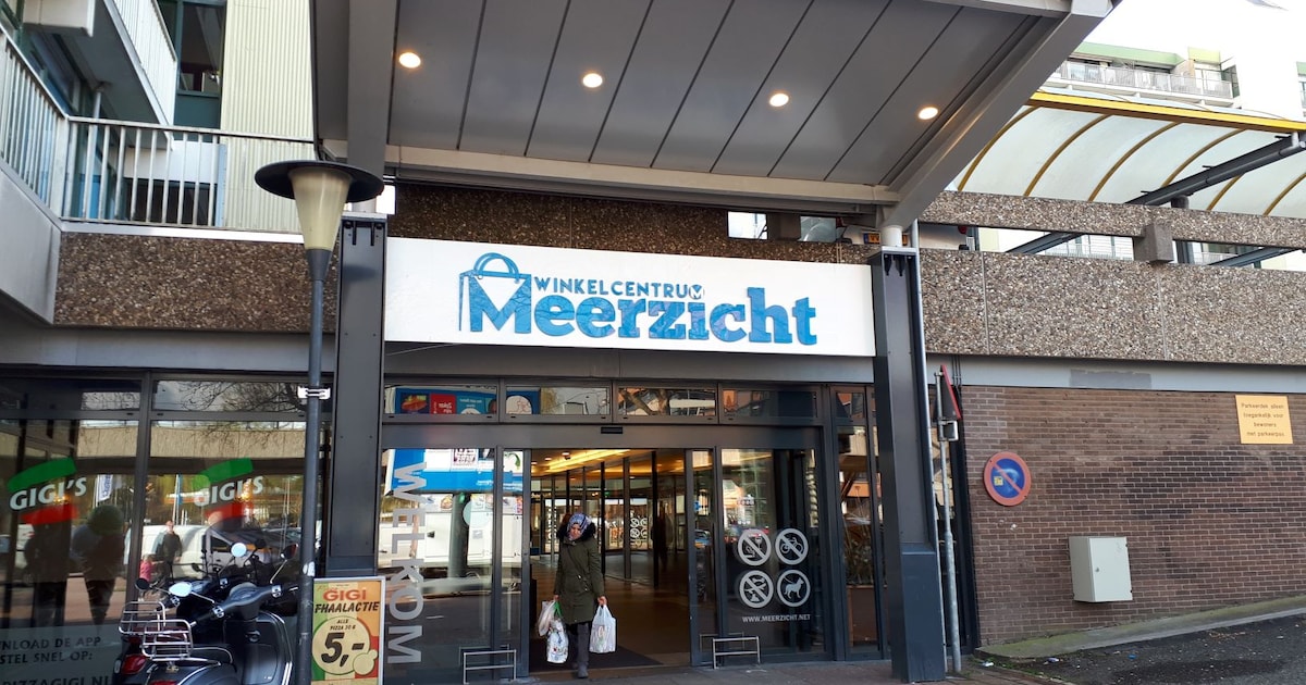 Extra supermarkt en tientallen woningen in vernieuwd winkelcentrum Meerzicht: ‘Hard nodig’