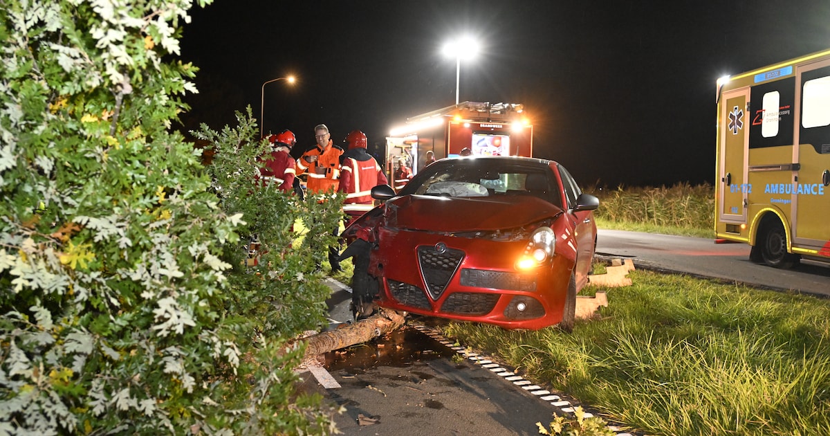 Automobilist botst frontaal tegen boom op de Wijmersweg in Loppersum