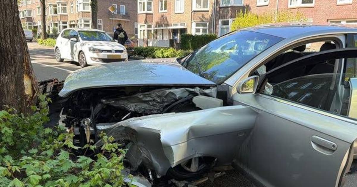 Auto knalt tegen boom op Statensingel in Maastricht