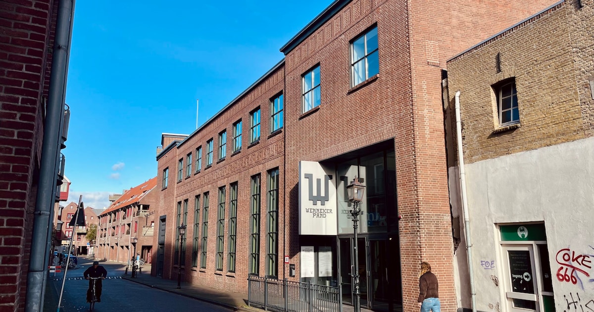 Uittip! Ontdek jonge filmmakers tijdens Filmfestival Novus in Schiedam