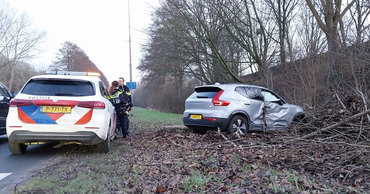 Automobilist gewond na botsing tegen boom op Rotterdamseweg in Ridderkerk