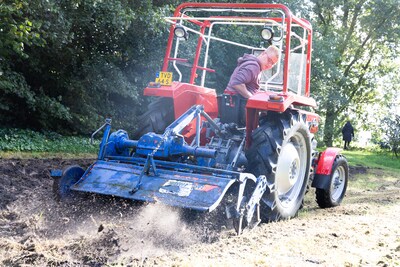 Aardappels rooien in Kruisland
