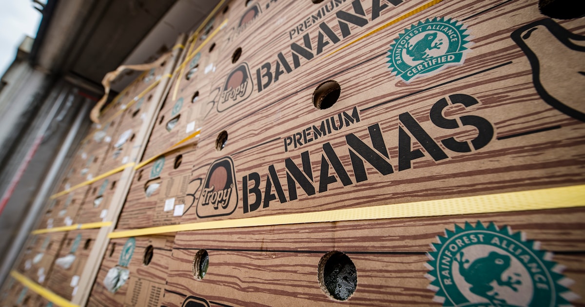 Meer bananen, maar minder chemische producten. North Sea Port ziet overslag lichtjes dalen