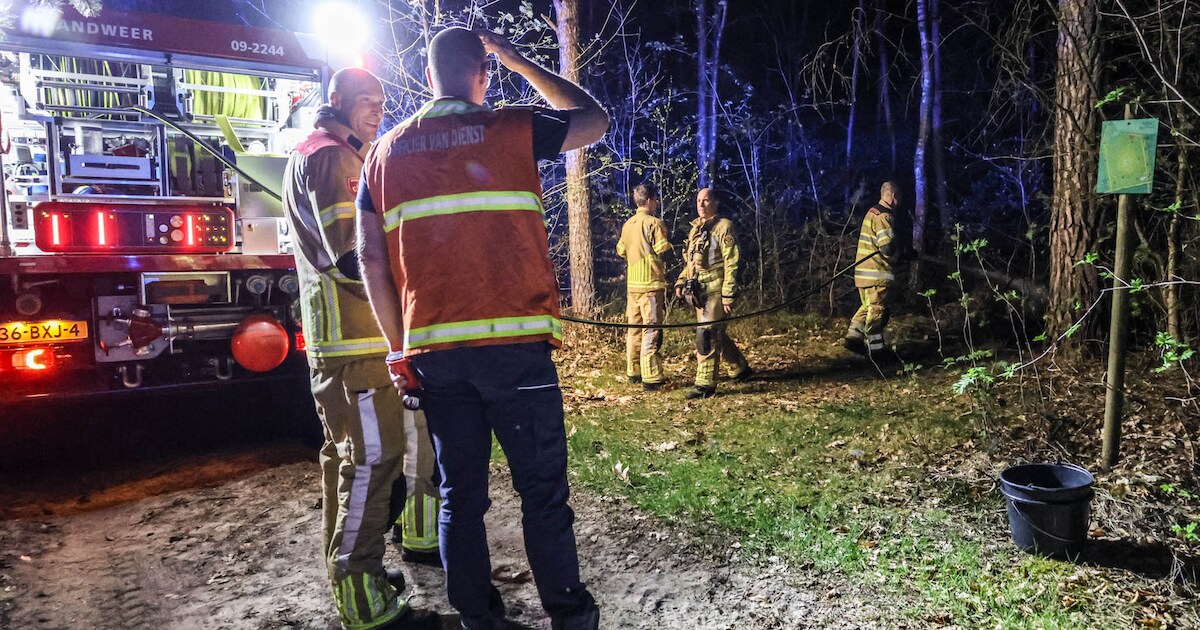 Brand in bosgebied bij Leusden snel onder controle