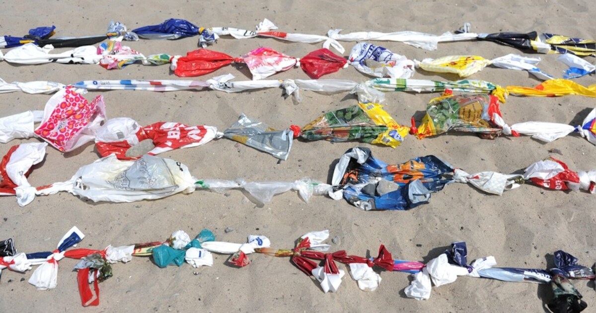Internationale versie van Nederlanse microplastic-app | Nieuws | AD.nl