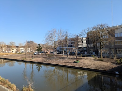 Huh, waar is het gras? Dit is waarom Park Paardenveld erbij ligt als een zandvlakte