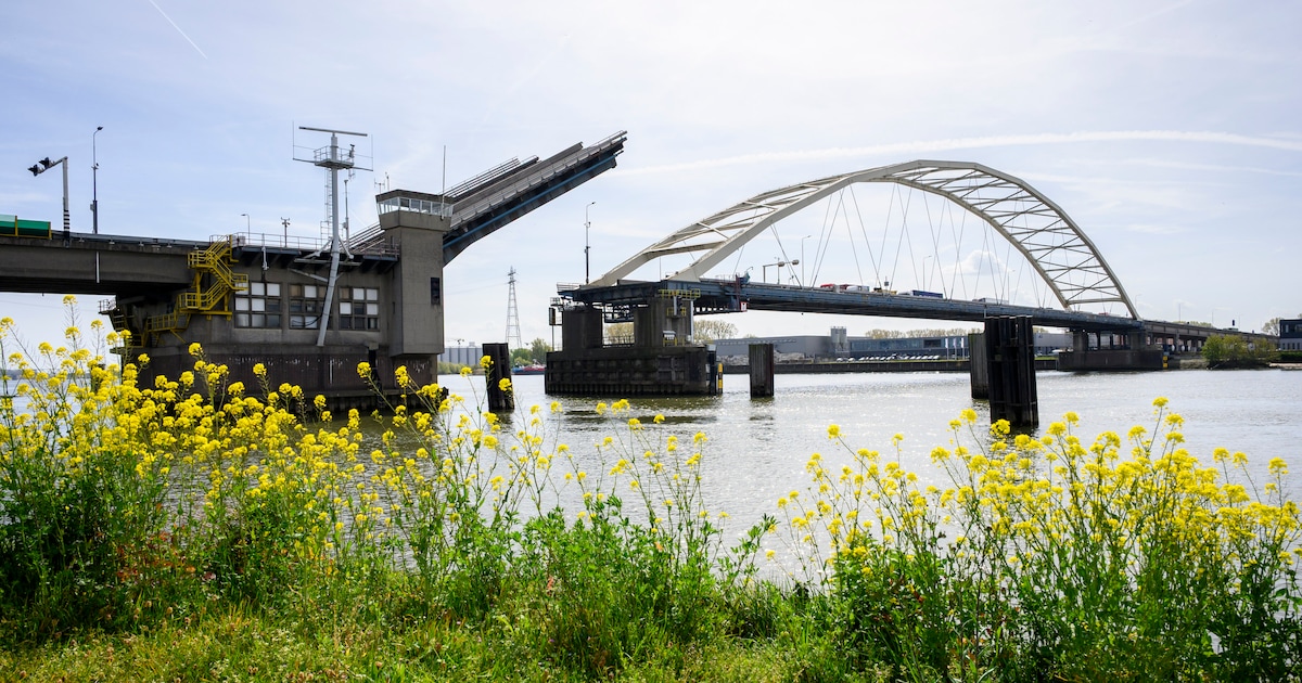 Werven vrezen opdrachten mis te lopen door renovatie Papendrechtsebrug: ‘Eén gemiste doorgang kost b