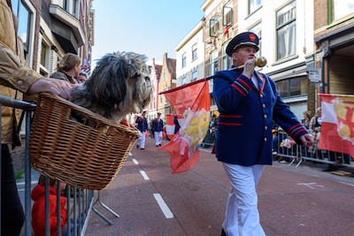 Zin in! Naar deze Leidse evenementen kijken we uit in 2026