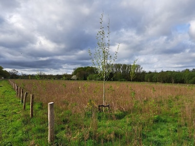 Gemeente Valkenswaard start met aanplant nieuw bos in Dommeldal