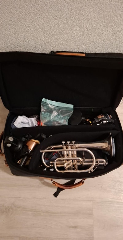 Verloren, vergeten of gestolen: zilveren blaasinstrument gevonden in bosjes Spijkerstraat