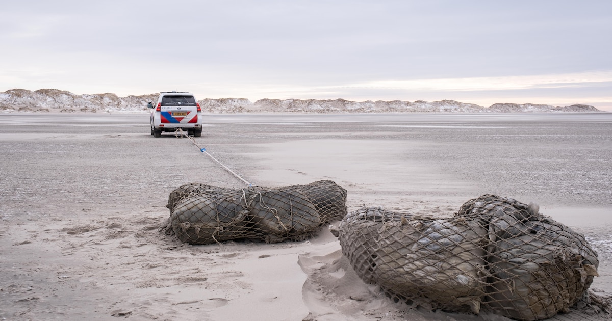 Honderden kilo's drugs aangespoeld op strand in Terschelling