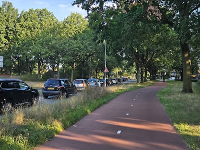 Drukte op de Sterrenlaan: wat zijn jouw ervaringen?