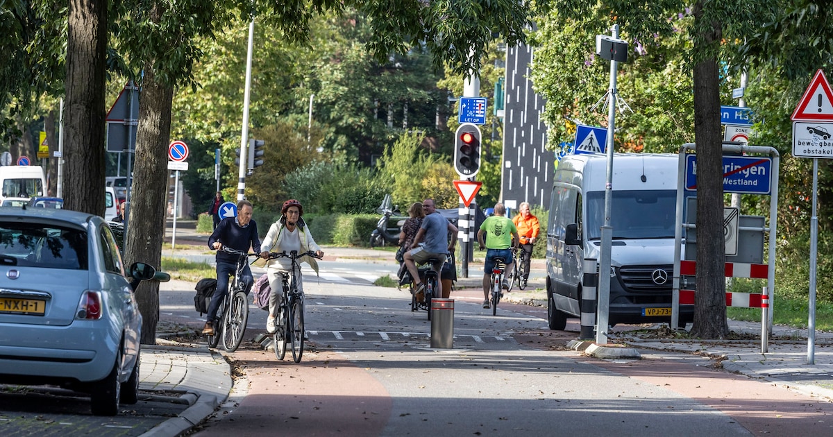 Wateringers vrezen voor parkeerplekken na invoeren van betaald parkeren Erasmusweg