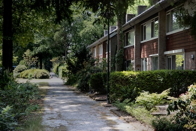 Image related to the article