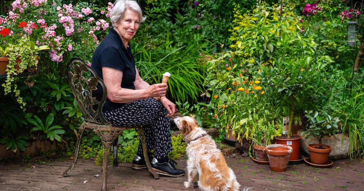 Open Heuvelrugtuinen Route breidt uit: deelnemers met groene tuinen gezocht