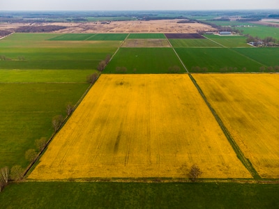 Image related to the article