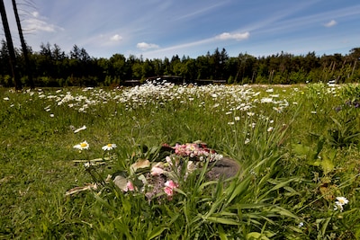 Rondleidingen en kunstroute; wie waakt er over de rust op natuurbegraafplaats Schoorsveld?