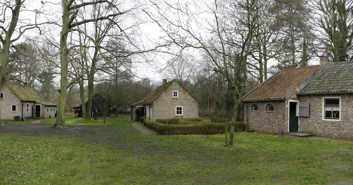 Bevrijdingsdag Rockanje: deel verhalen en soep bij De Duinhuisjes | Voorne aan Zee