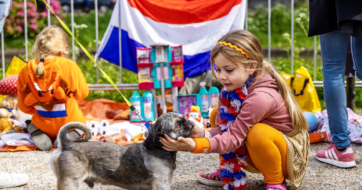 Van springkussen tot dj: dit is het programma voor Koningsdag 2026 in IJsselstein