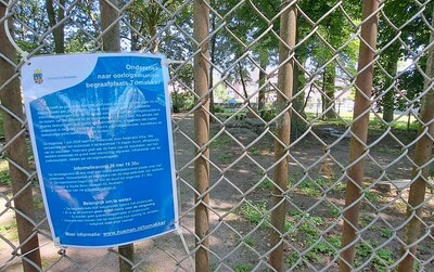 Image related to the article