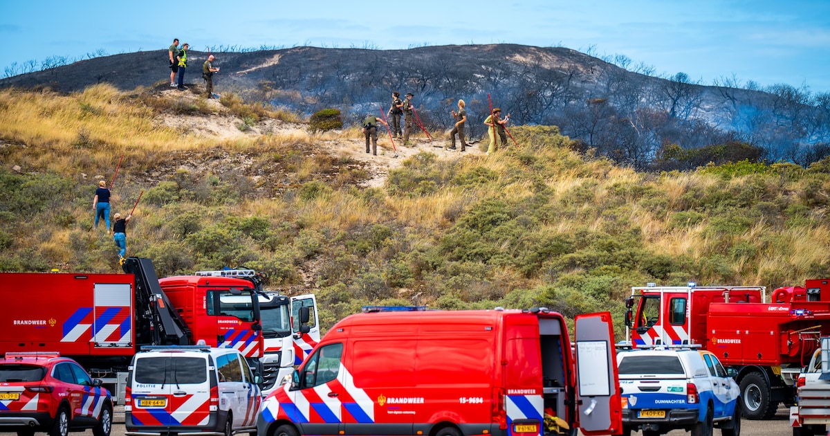 DLW pleit voor open slachtbomen bij nood na duinbrand Wassenaarse Slag