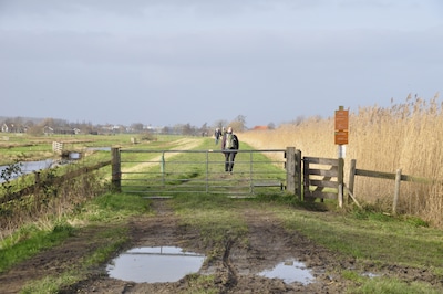 Schade aan dijken door aanhoudende droogte, waterschap grijpt in