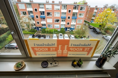 Image related to the article